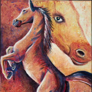 horse1