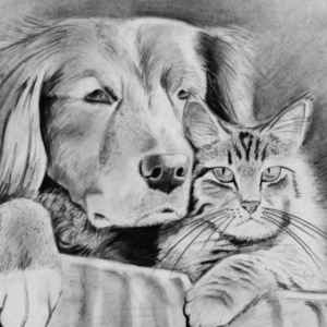 Cat & dog