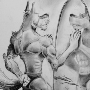 Wolf in the mirrow